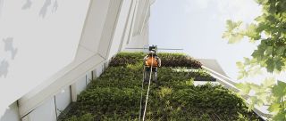 RopeClimber hoist green wall Paris