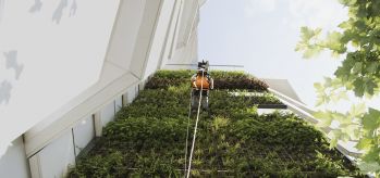 RopeClimber hoist green wall Paris